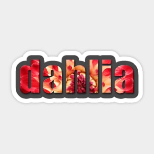 dahlia red blossoms Sticker